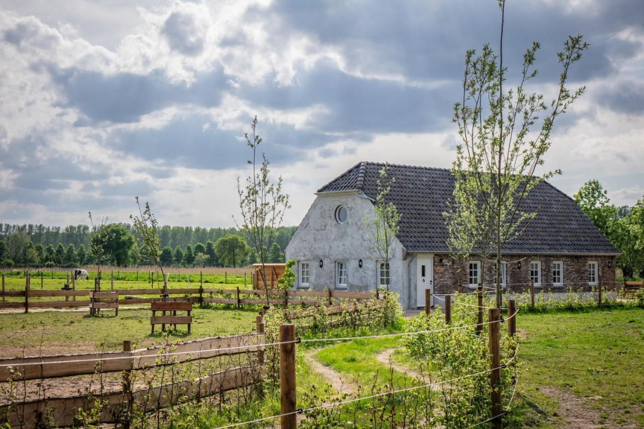 B&B Hoeve Klein Haneveld Sint-Oedenrode Eksteriør billede