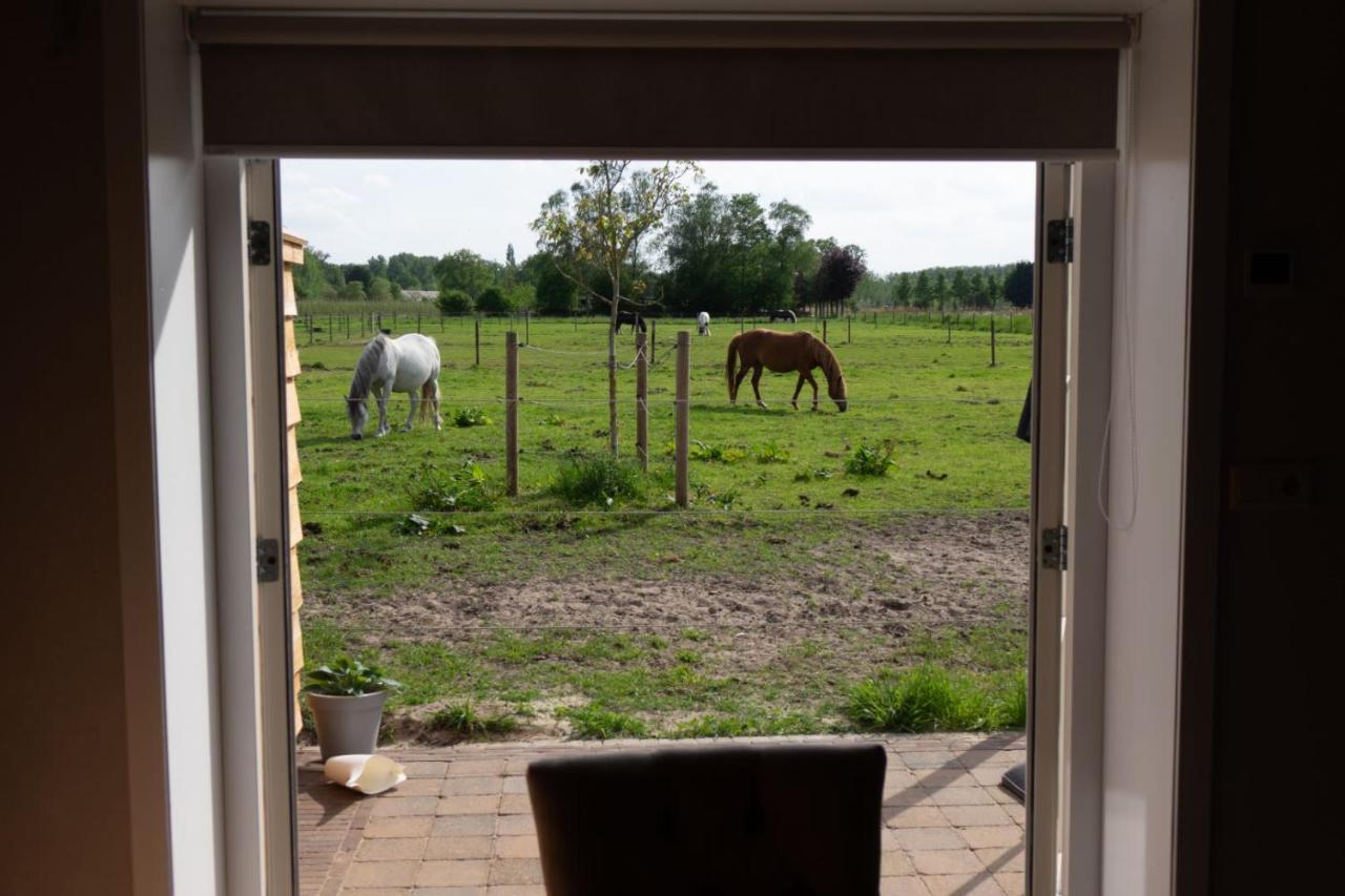 B&B Hoeve Klein Haneveld Sint-Oedenrode Eksteriør billede